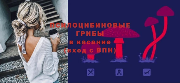 шишки Всеволожск