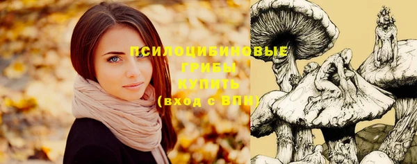 таблы Пересвет