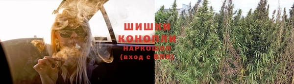 мяу мяу мука Пестово